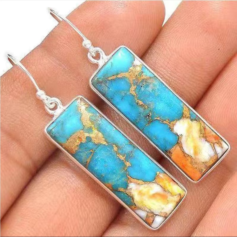 NWOT Turquoise/Silver/Tan Colored Earrings.
